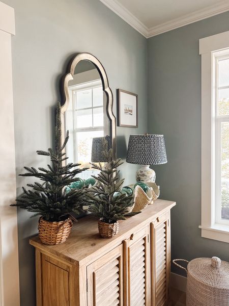 Just got these two Christmas trees in baskets! I haven’t decided where they’ll go yet but I set them here to show you the two sizes for comparison. Love them! 

#LTKhome #LTKSeasonal #LTKHoliday