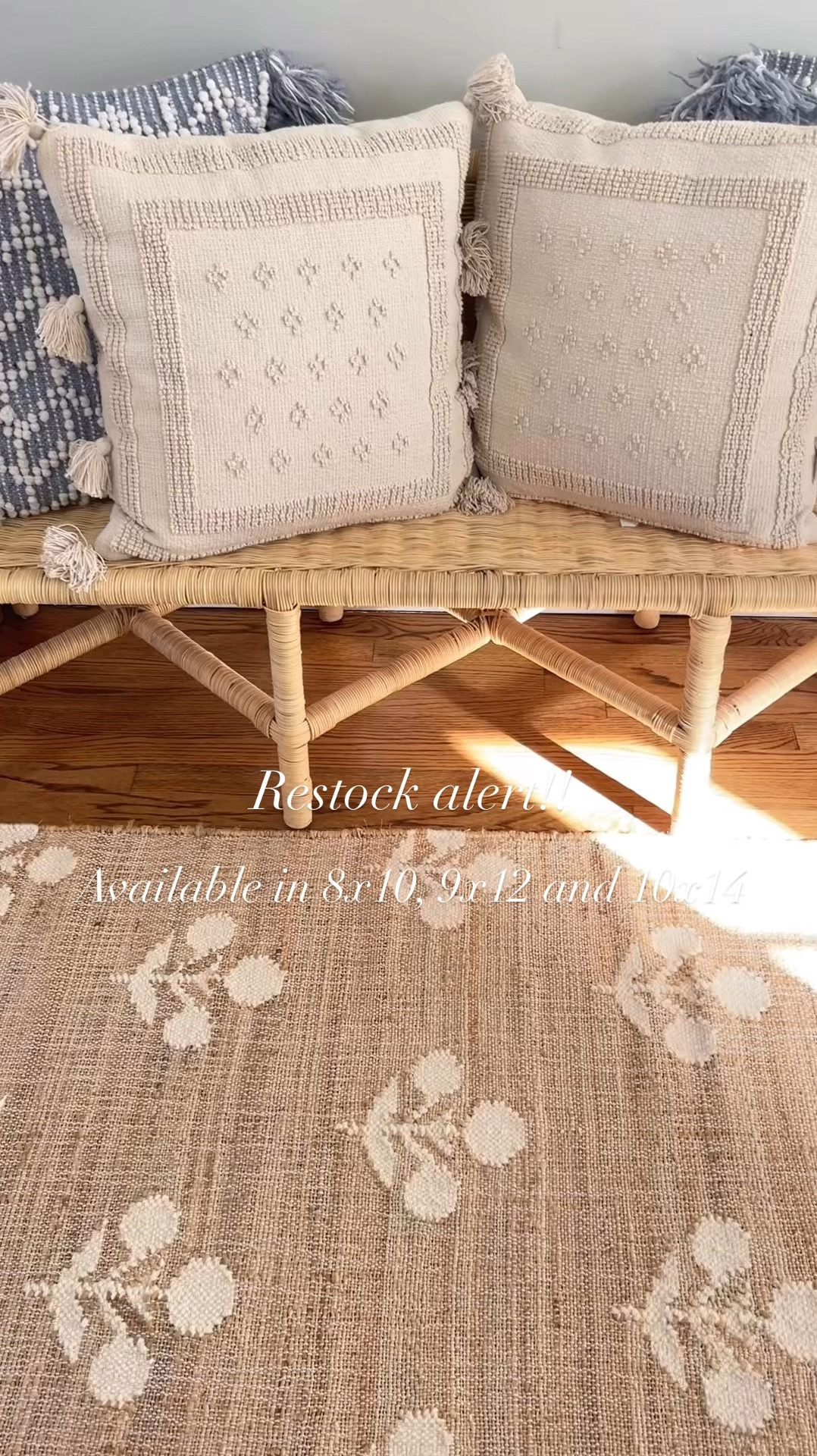 🚨Restock alert!🚨 on our best selling block print wool & jute rug!! ALL OF THE BIG SIZES!! 🤯🙌🏻 Snag in 8x10, 9x12 or 10x14

Coastal home decor

#LTKHome #LTKWatchNow #LTKSaleAlert