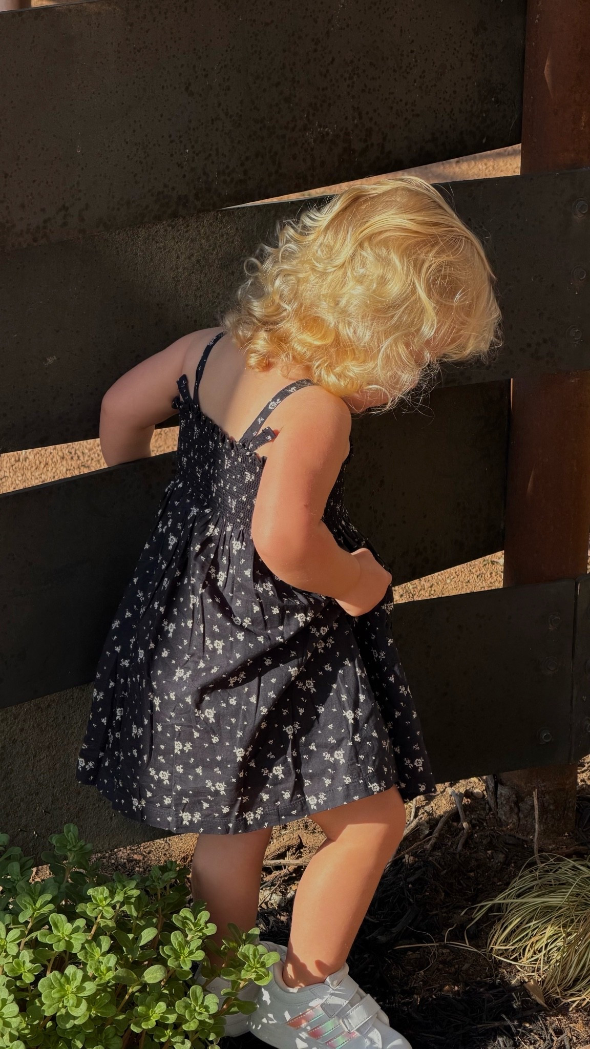 the cutest cotton dress for toddlers