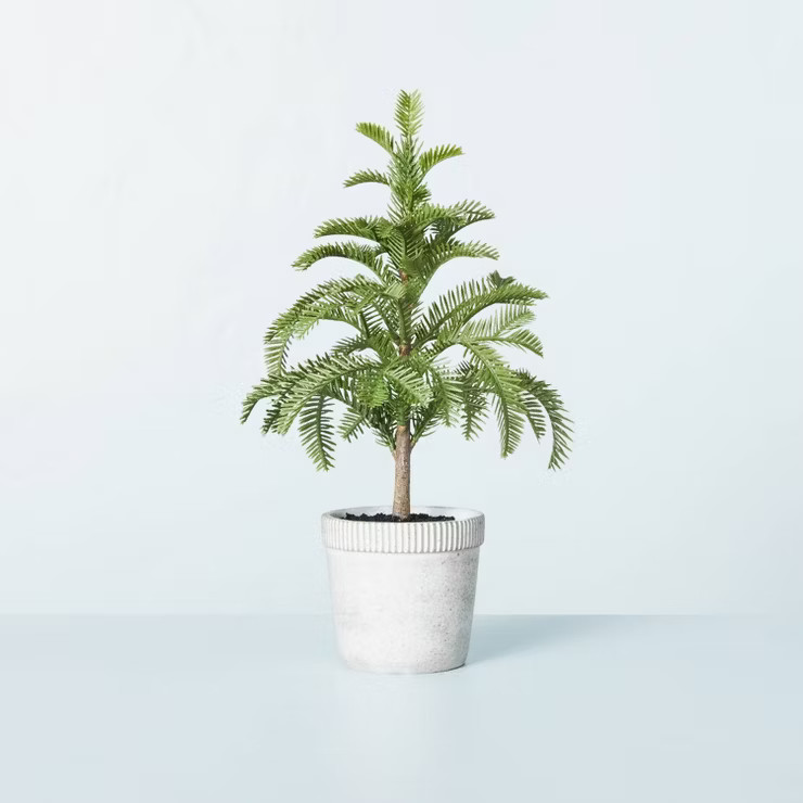Faux Balsam Fir Tree in Washed Cement Pot - Hearth & Hand™ with Magnolia | Target