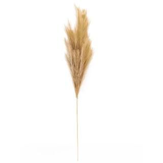 Wispy Pampas Grass Stem by Ashland® | Michaels Stores