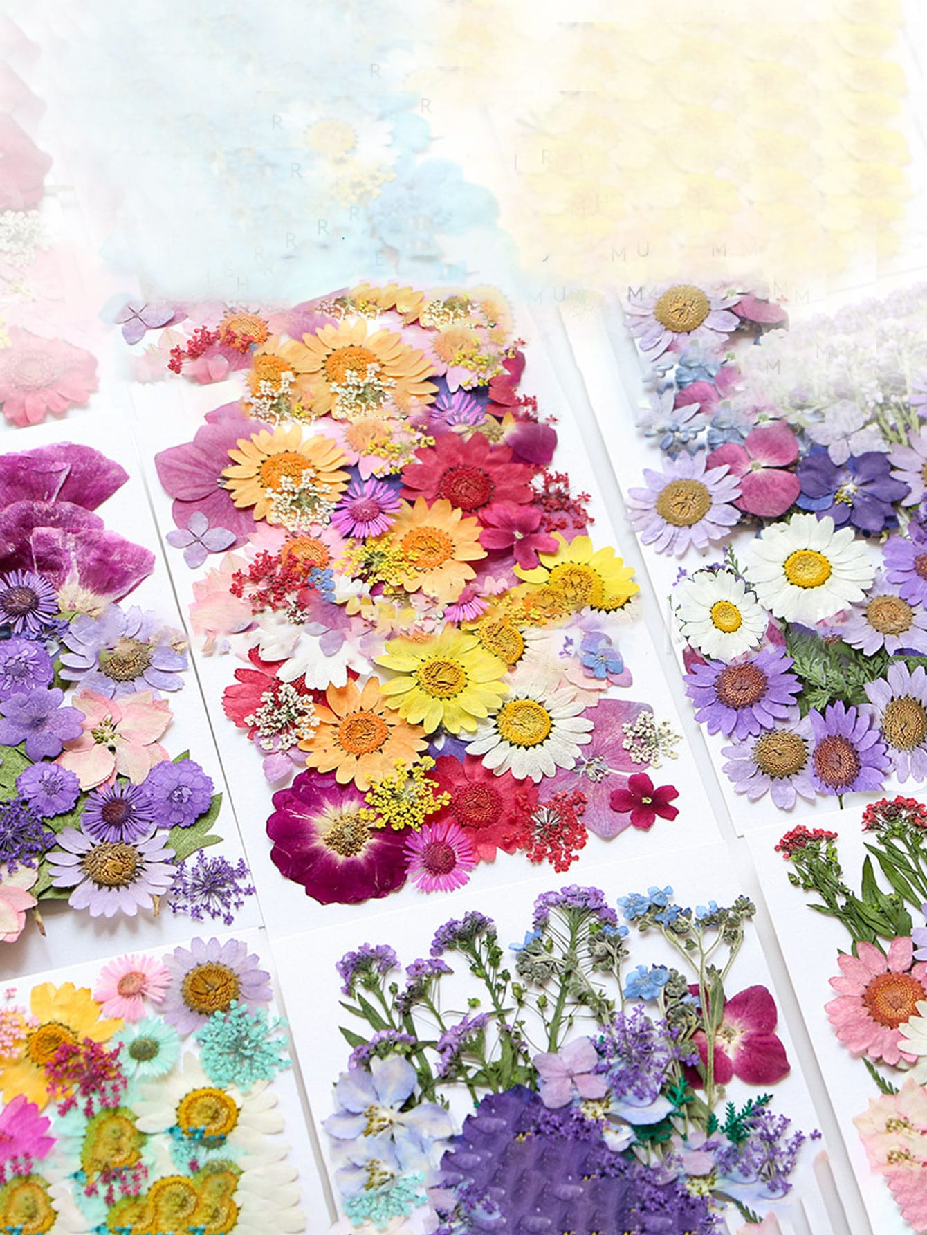 35-42pcs Dried Pressed Flowers For Resin, Real Pressed Flowers Dry Leaves Bulk Natural Herbs Kit ... | SHEIN