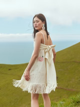 Gavin Beaded Embroidered Mini Dress | Eddy