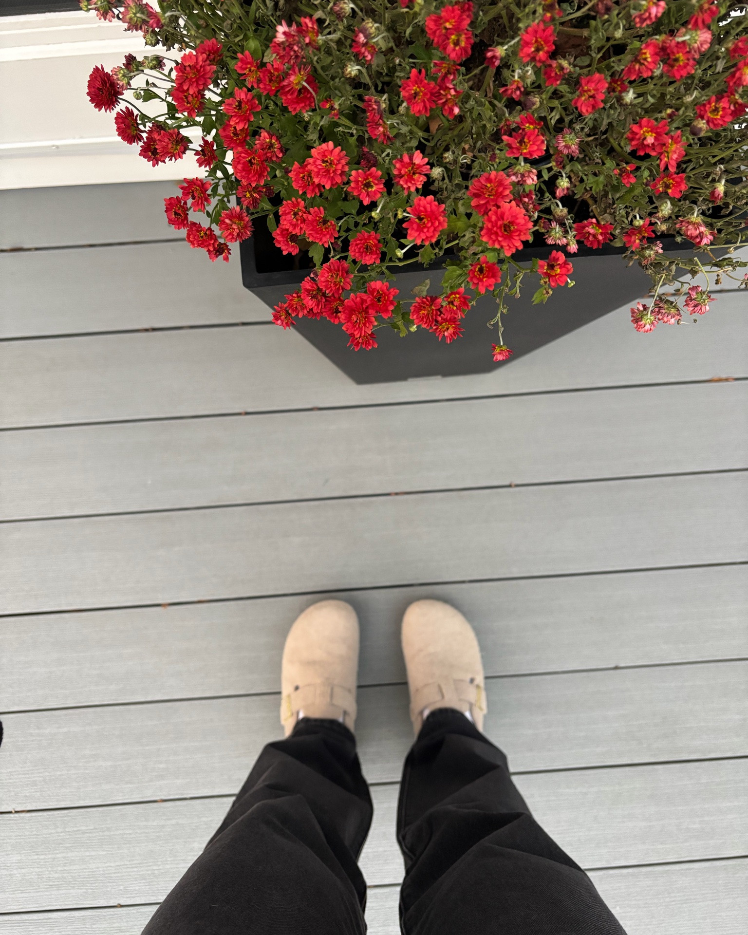 The Perfect Casual Shoes for FALL 2026 🪻😎

CLOGS & SLIDES UNDER $50
quick to slide on, go with everything, & are comfortable AND cute! 

Starting around $20, these B*rkenstock clog lookalikes are the perfect go-to casual autumn shoe for both men and women / boys and girls!

👉🏻👉🏻 I sized up 1/2 size
 (they run a bit short in the length)


.
.
.
back to school outfits
back to school shoes
affordable fall accessories
on-trend casual slides 
fall Outfits for women
2026 fall Fashion 
fall outfits over 50
viral fall shoes for everyday
Women’s Shoes
Women’s clogs
women’s Mules and Slides
Designer Look for Less footwear
Birkenstock Look-Alike
Gifts Under $50
Casual Shoes Under $50
casual fall shoes
women’s denim
trending jeans for fall 
women’s slide on Shoes
unisex clogs 
gifts for HER

#LTKgrwm #LTKootd #LTKSeasonal