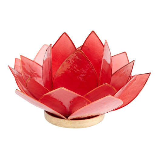 Capiz 20 Petal Lotus Tealight Candle Holder by World Market | World Market