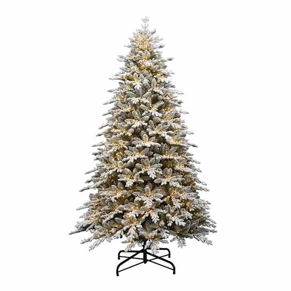 Pre-Lit Flocked Bradley Spruce Tree, 9', White, Plastic, sold by At Home | At Home