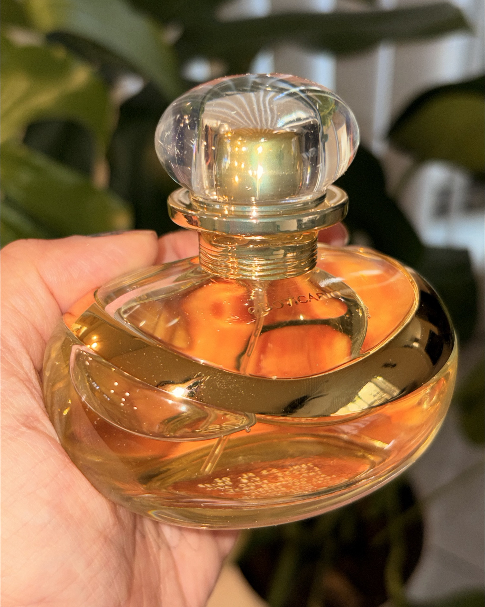 Mi nuevo olor 💛 

🌼 Lily Original – Pirámide olfativa

Notas de salida (primer impacto):
	•	Mandarina
	•	Pera
	•	Durazno (melocotón)
	•	Pimienta rosa

Notas de corazón (el alma del perfume):
	•	Lirio (flor protagonista, extraído por enfleurage)
	•	Jazmín
	•	Gardenia
	•	Rosa

Notas de fondo (las que se quedan en la piel):
	•	Vainilla
	•	Sándalo
	•	Pachulí
	•	Almizcle
	•	Benjuí

💛 Cómo se siente:
Es un floral blanco cremoso, elegante y cálido, muy femenino, con ese fondo avainillado suave que lo hace sofisticado y envolvente. Nada chillón, más bien “perfume de mujer segura, clásica pero sensual”.