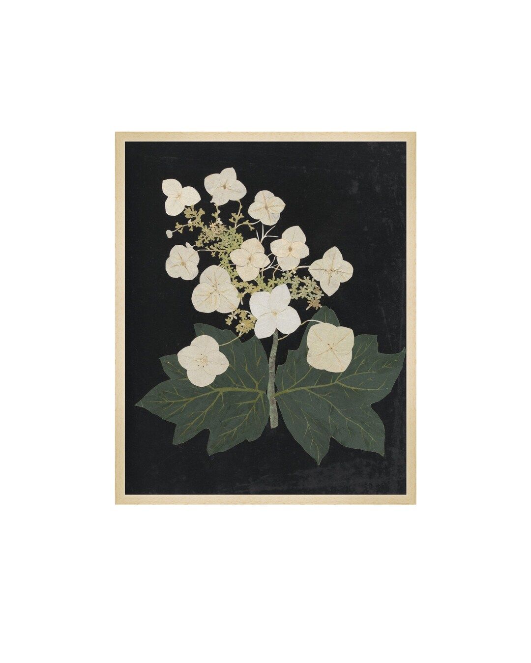 FRAMED. Flower Study VI. Flower Painting. Antique Painting - Etsy | Etsy (US)