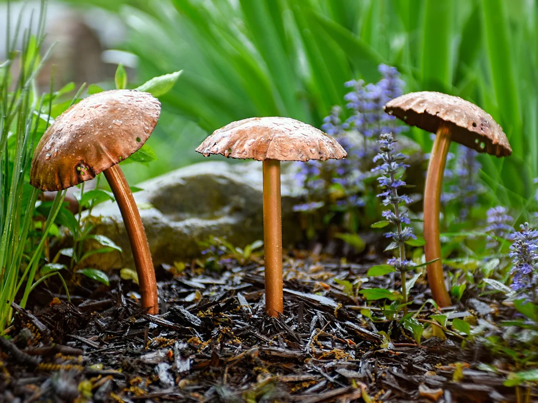 Copper Mushroom Sculpture Trio - Etsy | Etsy (US)