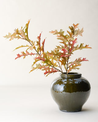 Oak Leaf Branch | Magnolia