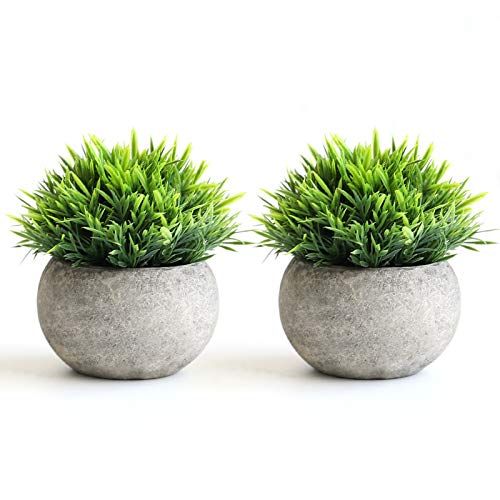 THE BLOOM TIMES 2 Pcs Fake Plants for Bathroom/Home Office Decor, Small Artificial Faux Greenery for | Amazon (US)