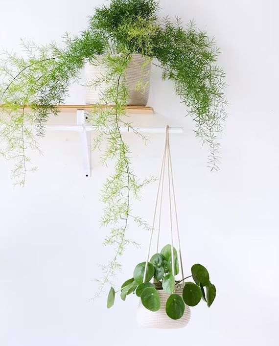 6inch Hanging Planter Basket, for a hanging plant, indoor plant, hanging plant holder, plant hang... | Etsy (US)