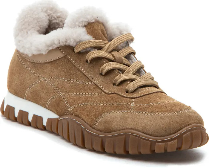 Qutie Genuine Shearling Lined Sneaker (Women) | Nordstrom