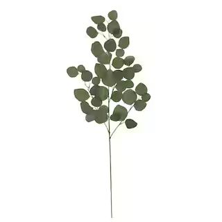 Green Dollar Eucalyptus Stem by Ashland® | Michaels Stores