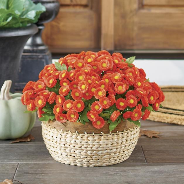 Mum Urn Filler Small | Grandin Road | Grandin Road