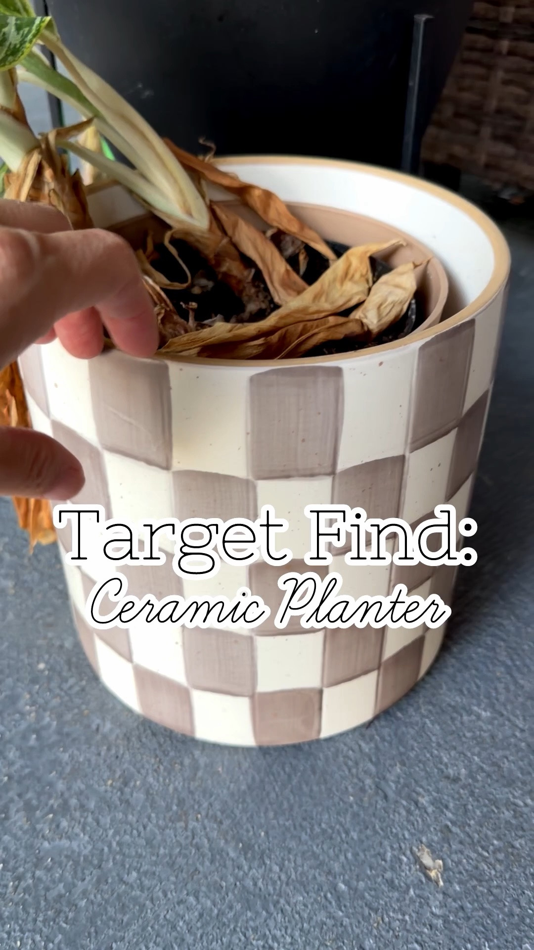 @Target  find! I love these bougie on a budget ceramic planters! I’ve been doing a lot of container gardening and these are one of my favorites.
 
Target home finds // indoor plants // outdoor plants // garden finds //

#LTKHome #LTKOver40