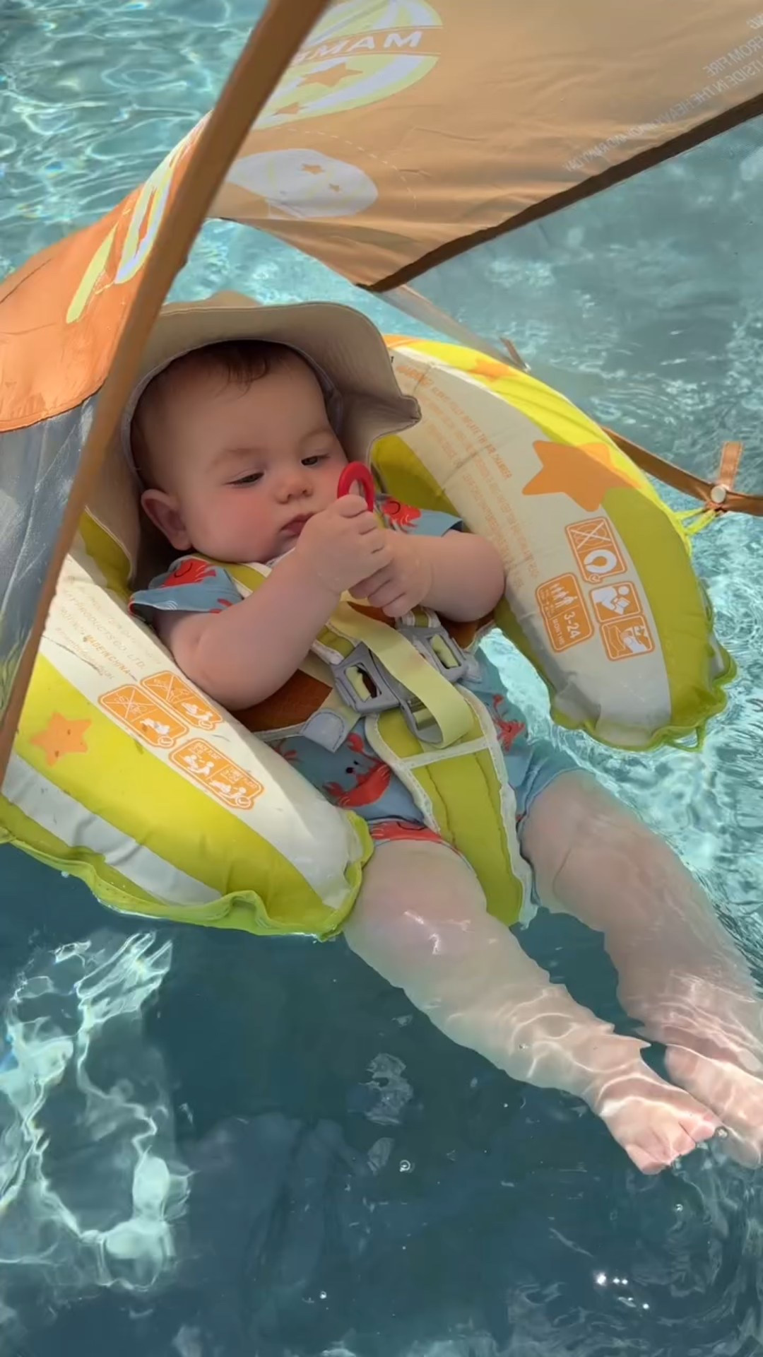 Living his best life on vacation 🦀🌊☀️