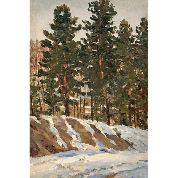 CEDAR | Juniper Print Shop