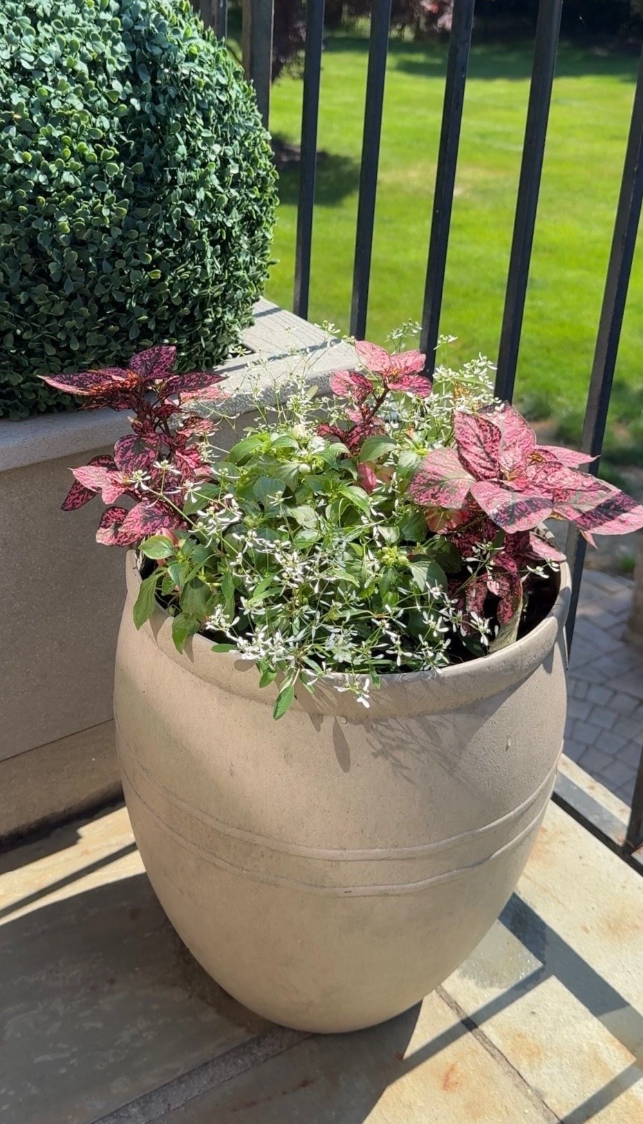 Had so much fun picking out my summer planters at @lowes

#LTKmomlife #LTKSeasonal #LTKHome