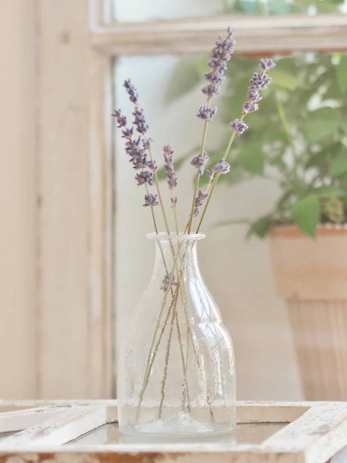 Clear Glass Bud Vase | The Cross Decor & Design