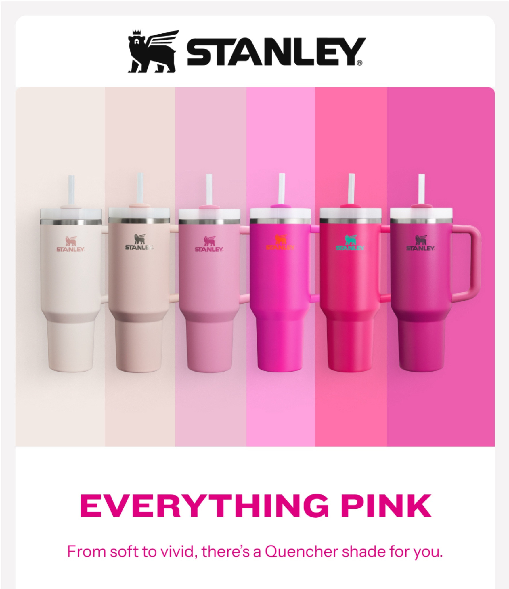 Pink Vibes | Stanley 
