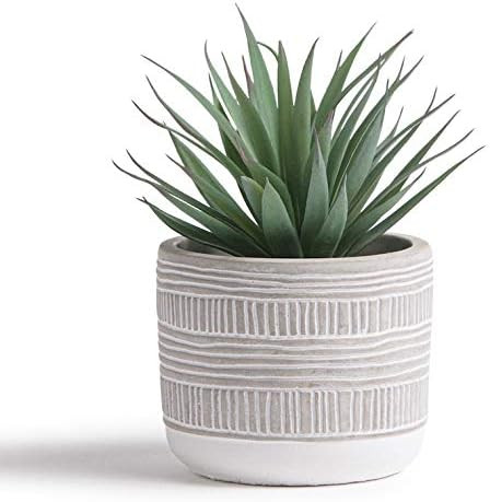 Kurrajong Farmhouse 7" x 4.5" Artificial Plant in Concrete Cement Pot, Beautiful Feaux Plant for ... | Amazon (US)