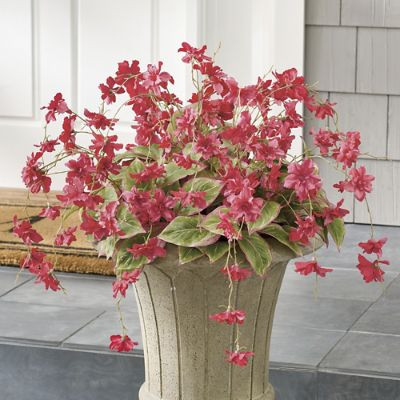 Chelsea Meadows Urn Filler | Grandin Road | Grandin Road