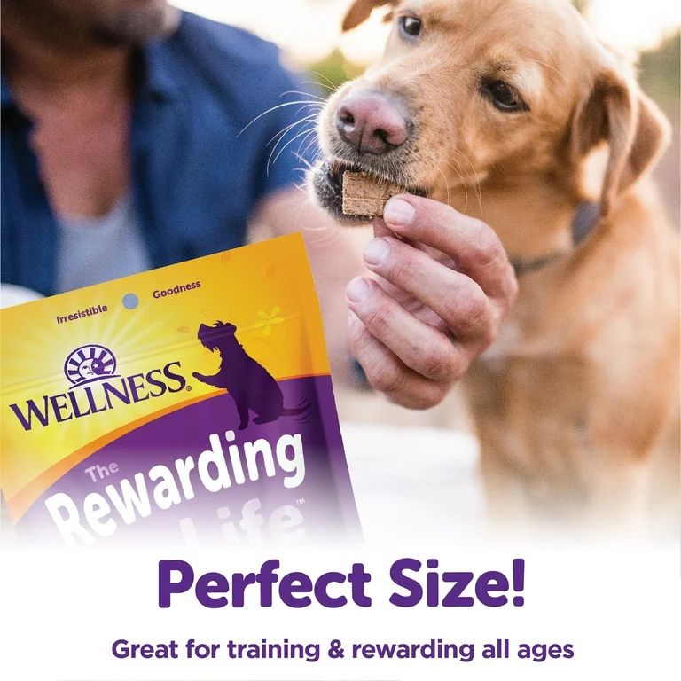 Wellness Rewarding Life Soft & Chewy Dog Treats, Grain Free, Chicken & Venison, 6 Ounce Bag | Walmart (US)