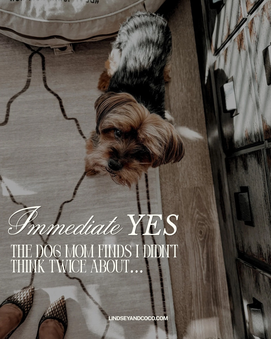 The dog mom products I’d say immediately yes to all over again.

For details on The Ripple Pet Home visit lindseyandcoco.com, search “Ripple” & read “CB2-Inspired Dog Mom Office.”

Scroll to shop.

#LTKPet

#LTKHome #LTKmomlife