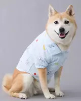 ABO Snoopy Fruit Button-Up Dog Shirt | American Eagle Outfitters (US & CA)