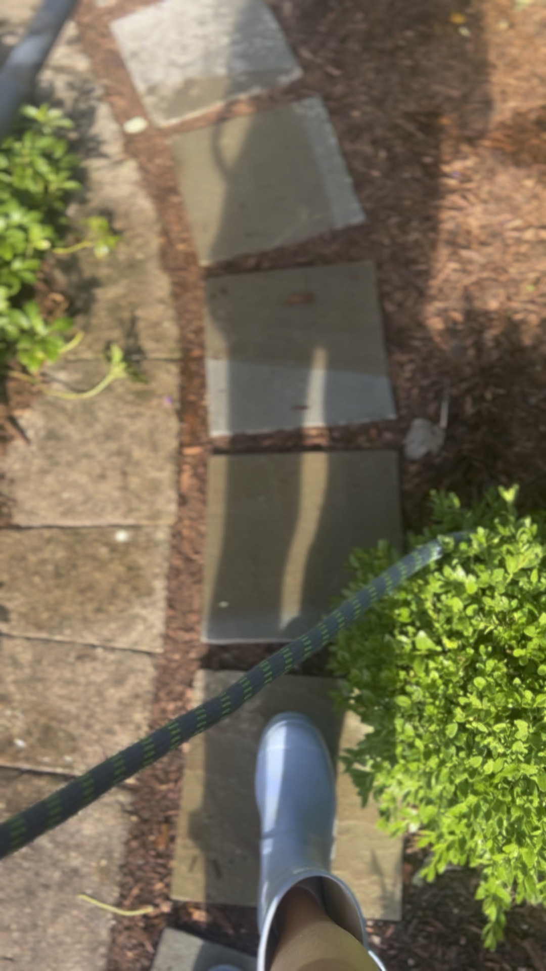 The hose that changed my life

Stretch hose, garden hose, hydrangeas 

#LTKSeasonal #LTKHome