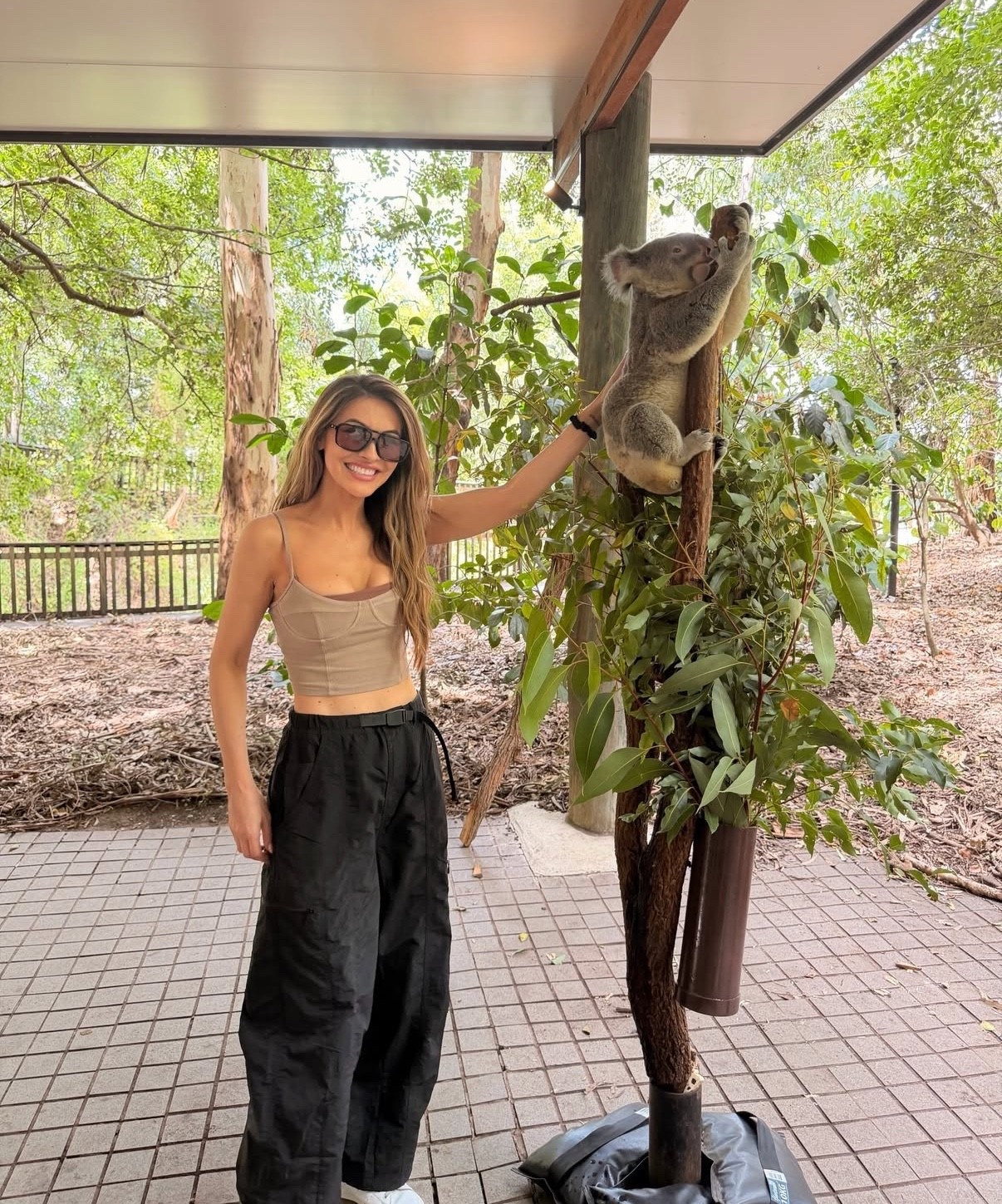 Made a friend ☺️🐨

#LTKbeauty #LTKstyletip #LTKSeasonal