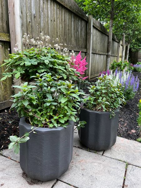 I love these outdoor planters! The black are a size medium. We have the same size in the white color on our front porch too! 

#LTKHome #LTKSeasonal #LTKFindsUnder100