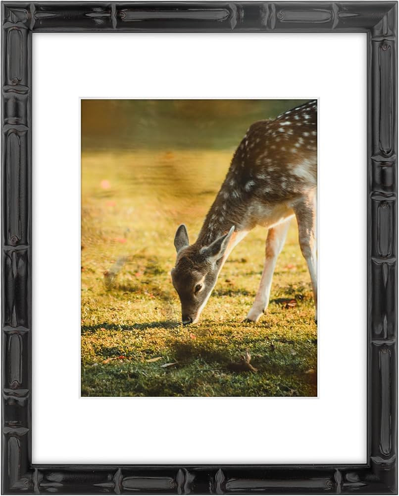 Space Art Deco, 11x14 Bamboo Style Picture Frame with White Mat for 8x10 Photo or 11x14 Prints wi... | Amazon (US)
