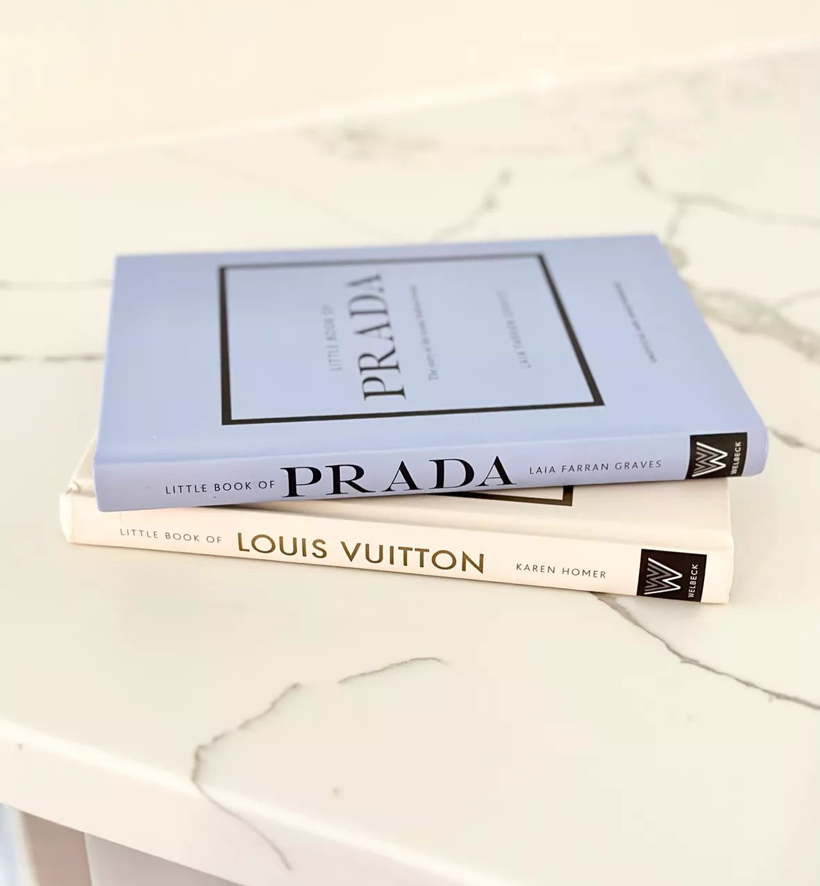 The Story of the Louis Vuitton Luggage: Graves, Laia Farran