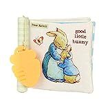 Beatrix Potter Peter Rabbit Soft Teether Book, 1 Count (Pack of 1) | Amazon (US)
