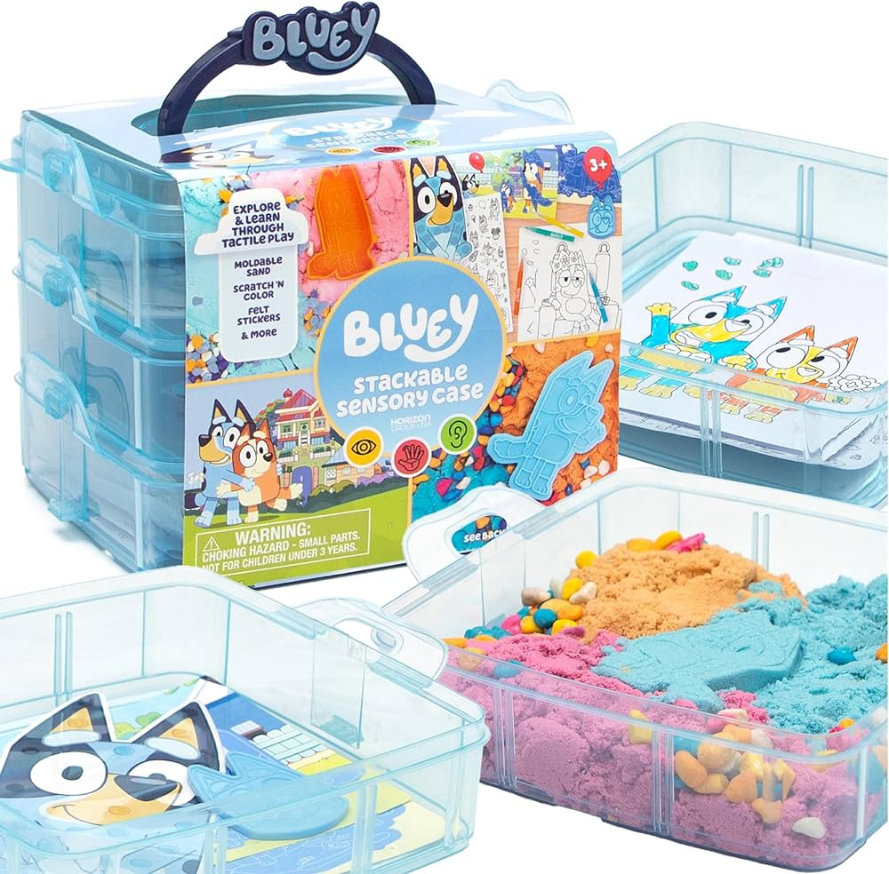 Bluey Stackable Sensory Case, Reusable Sensory Bin With Bluey Stickers, Sensory Play Sand Bags, C... | Amazon (US)