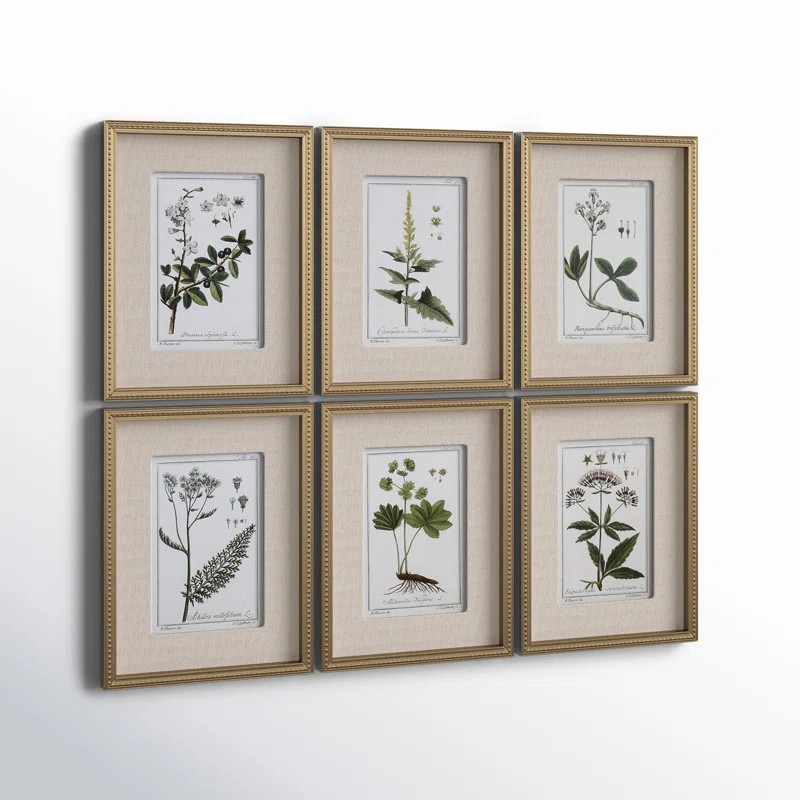 Three Posts Botanical Study' - 6 Piece Picture Frame Graphic Art Print Set on Paper & Reviews | W... | Wayfair North America