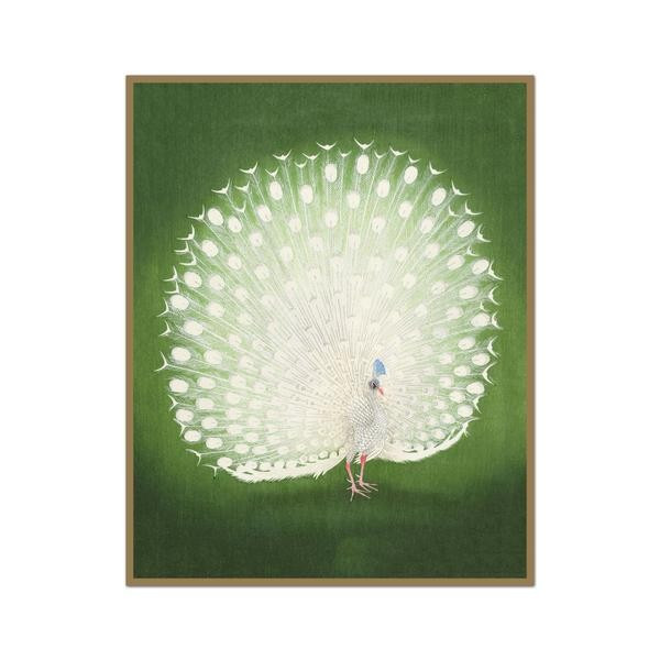 Peacock on the Green | Urban Garden Prints