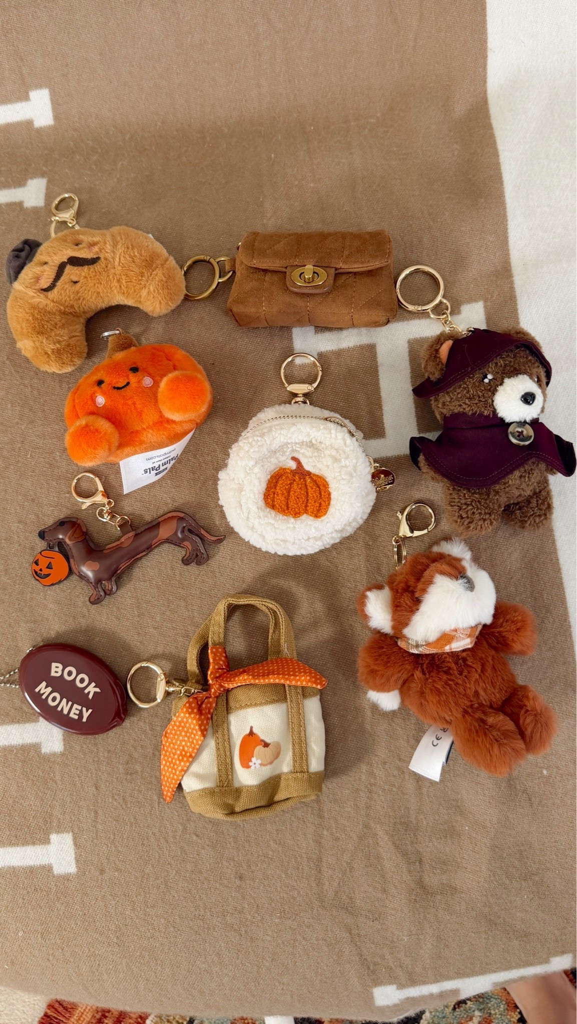 New bag charms for fall

Palm pals pumpkin plush charm
American eagle trick or treat dog 
Fox plush charm
Pumpkin pouch
Book money vintage coin holder
Crescent from Mon Ami mini purse charm and wind coat bear from Target