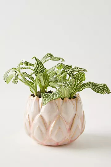 Lotus Pot | Anthropologie (US)