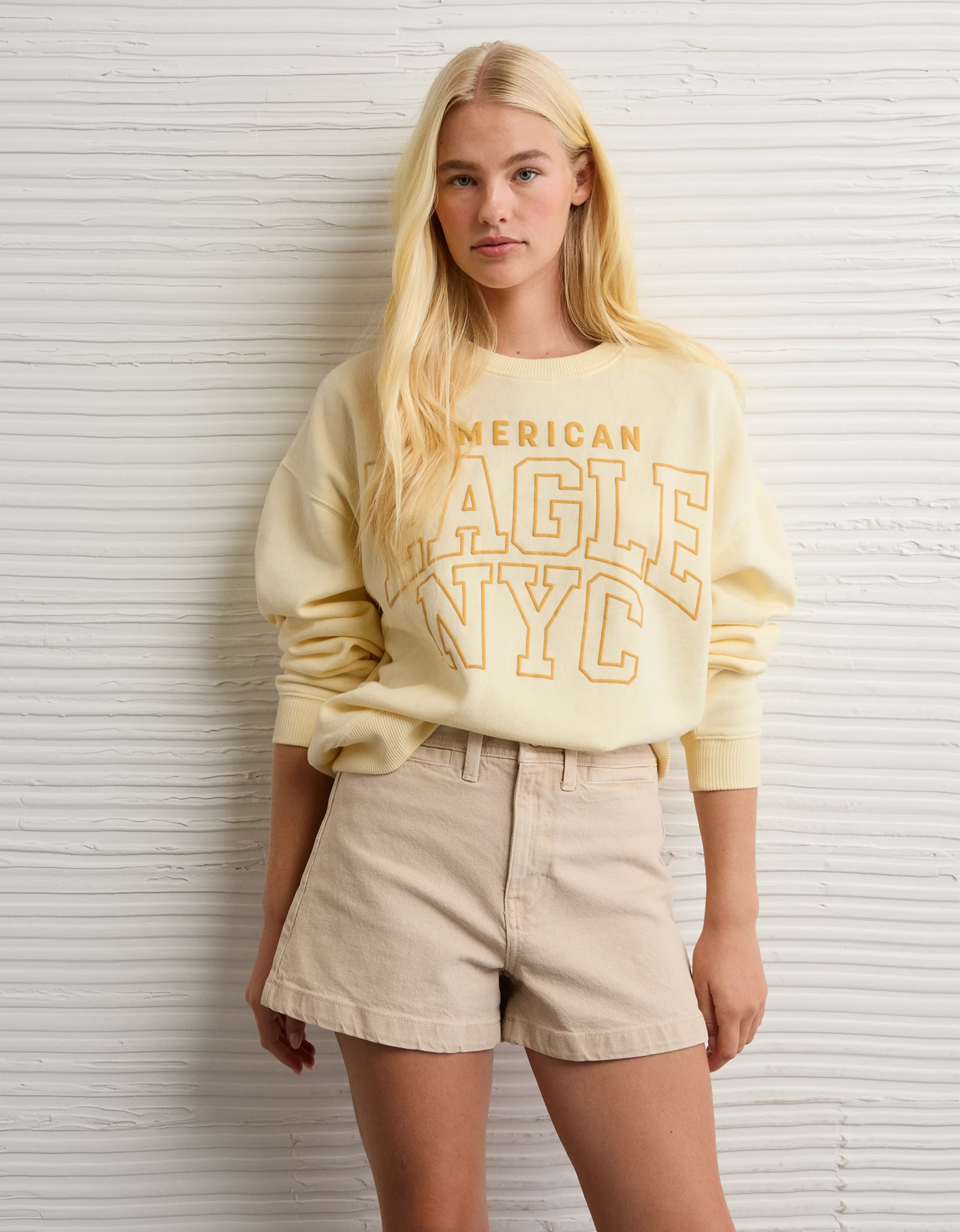 AE Funday Crew Neck Sweatshirt | American Eagle Outfitters (US & CA)
