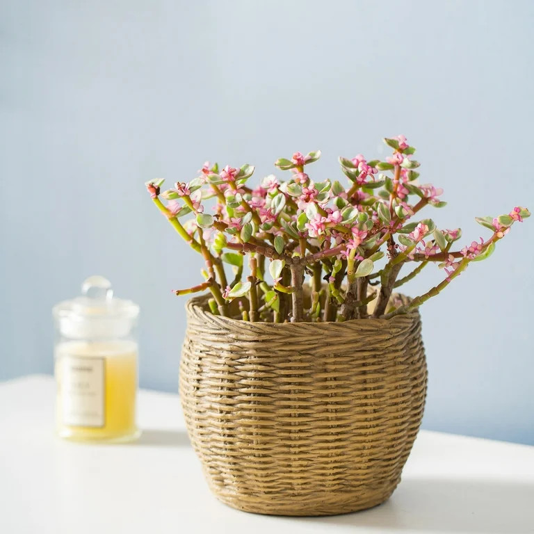 Better Homes & Gardens Pottery 8.2" x 8.2" x 6.2" Cement Brown Basket Planter | Walmart (US)