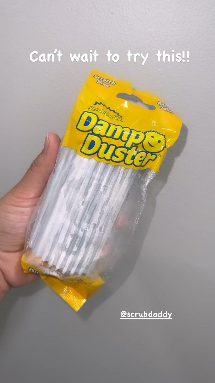 Buy Scrub Daddy Damp Duster Sponge Gray