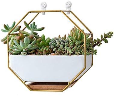 Amazon.com: Ivolador Modern Wall Planter, Metal Wire Octagon Design Wall-Mounted Shelves with Cer... | Amazon (US)