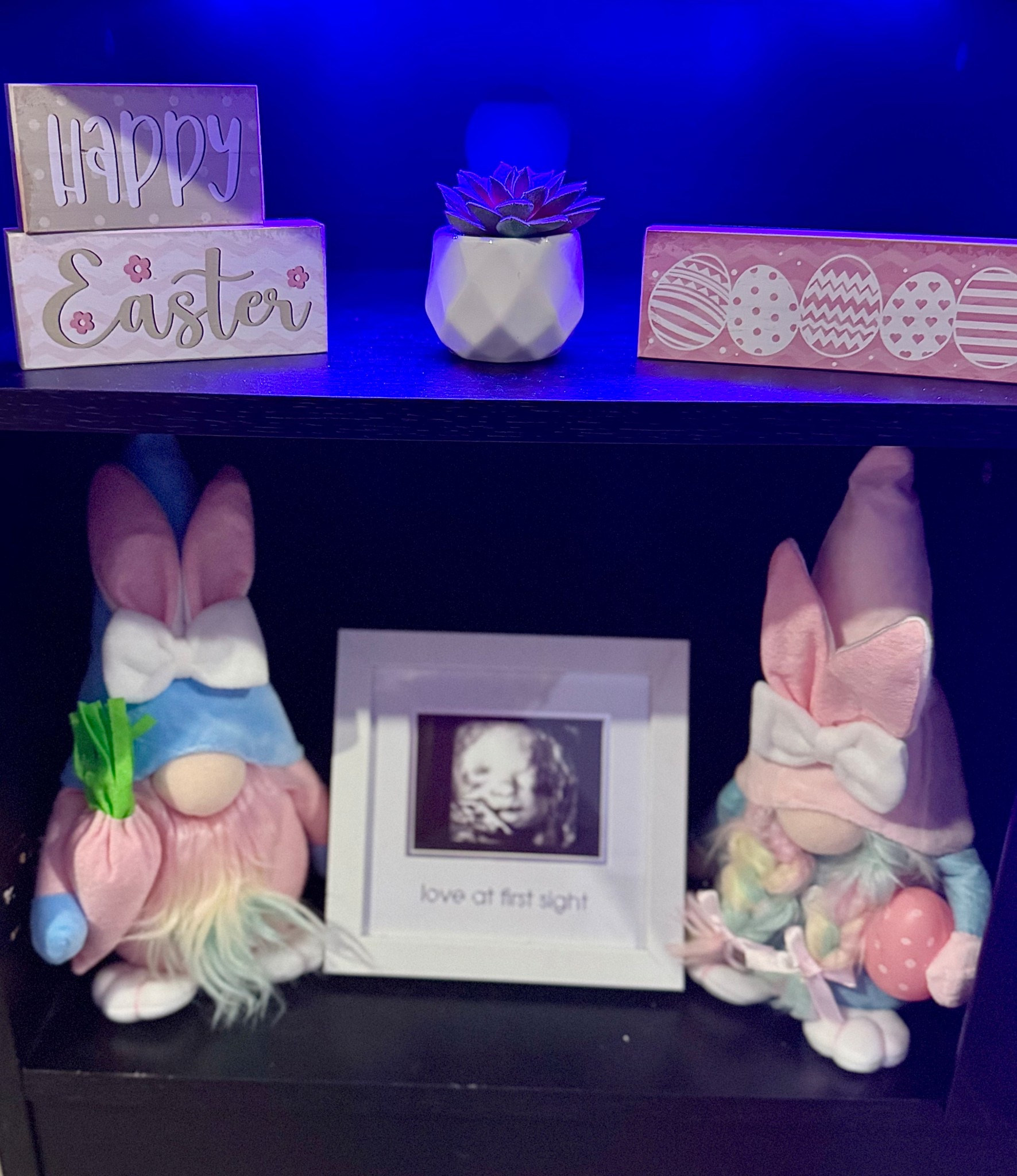 Easter Decor

#LTKHome #LTKSeasonal #LTKFindsUnder50