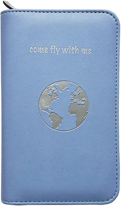 Phone Charging Passport Holder - Travel Wallet with Removable Power Bank holds money, cards, phone, travel docs- RFID Blocking - Compatible with All Phones - Travel Accessories | Amazon (US)