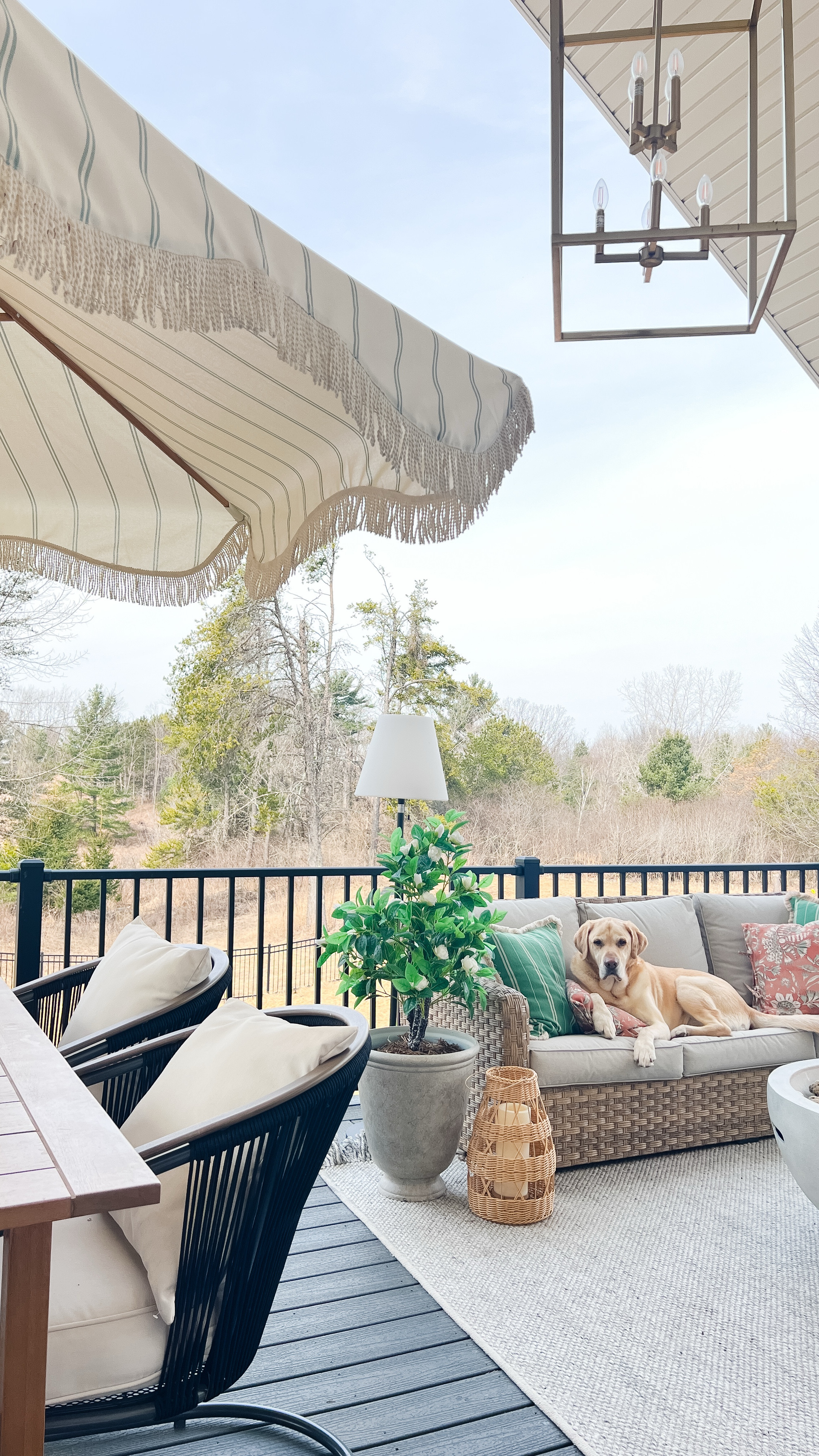 Patio decor links! 

Patio furniture 
Patio decor 
Patio sofa 
Patio chair 
Outdoor dining chair 
Outdoor dining table 
Faux patio plants 
Amazon patio 

#LTKWatchNow #LTKStyleTip #LTKHome