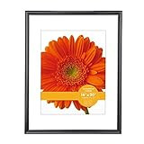 V-LIGHT Poster Frame 16" x 20", Pack of Two, Black Picture Frame (9VF0023B.1620.2) | Amazon (US)