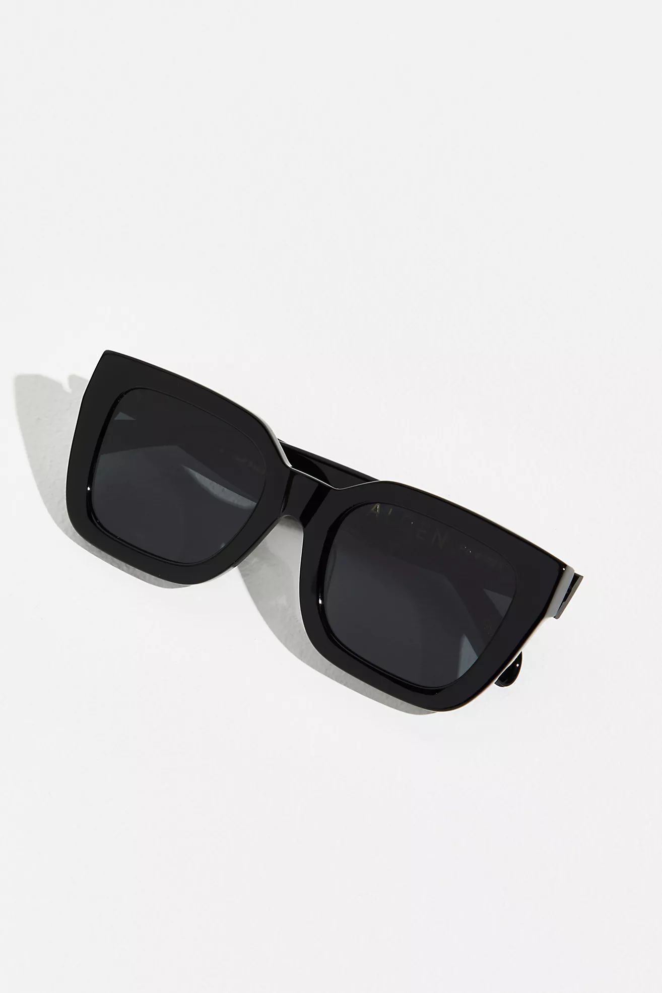 Alden Polarized Sunglasses | Free People (Global - UK&FR Excluded)